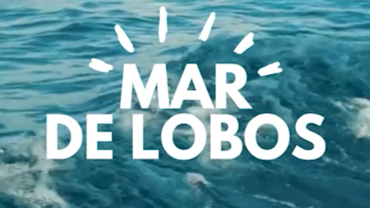 Fundo